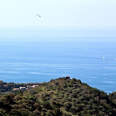 Apartmán I Tre Pini Pollica Exteriér fotografie