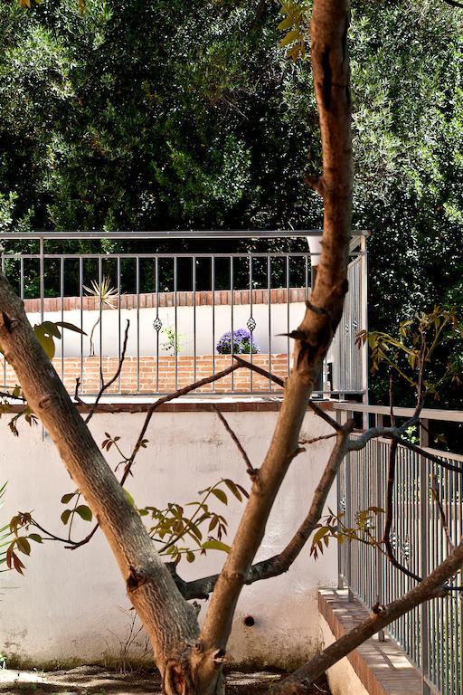 Apartmán I Tre Pini Pollica Exteriér fotografie